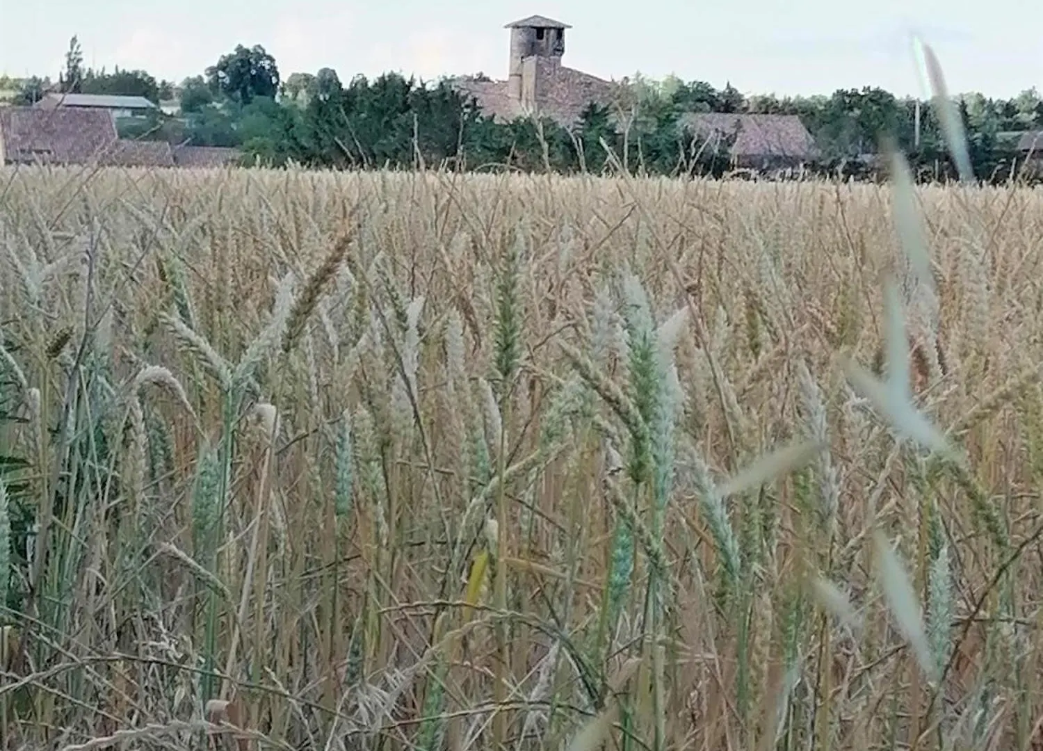 Les Gites De Genas Bourg-les-Valence 0*,  France